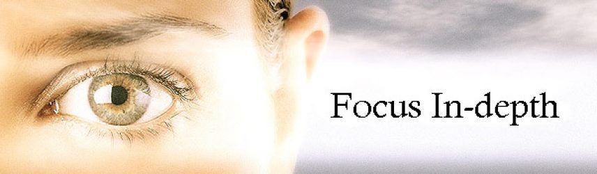 Focus In-depth Contact us